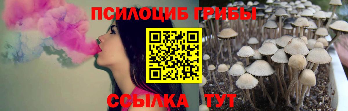 Черкесск  Псилоцибиновые грибы Magic Shrooms  Вход с VPN 
